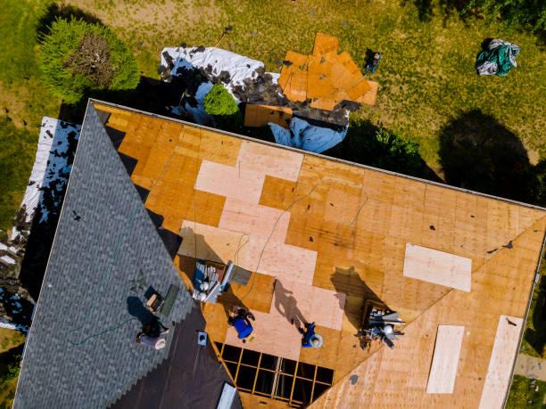 Best Shingle Roofing Installation  in Merton, WI