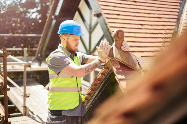 Best Roof Gutter Cleaning  in Merton, WI