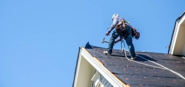 Best Metal Roofing Contractor  in Merton, WI